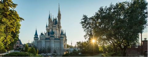 Learn about Walt Disney World deal on how it works page